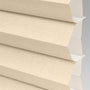 ColorizedSwatch Default Swatch 11111