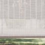 ColorizedZoom 13892