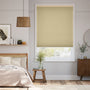 ColorizedFullRoom 22473