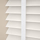 pid-3753_White100_t03