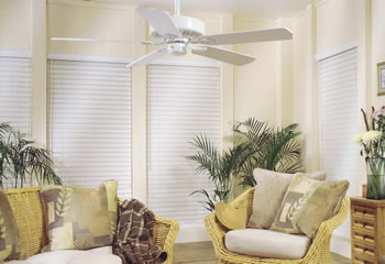 COLORS DESIGNER WOOD BLINDS | SHOP FOR THE BEST PRICE  COMPARE