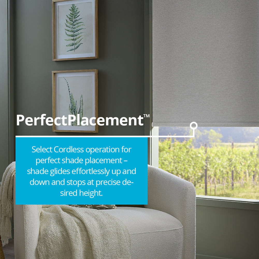 LEVOLOR Solar Screen Shades | SelectBlinds