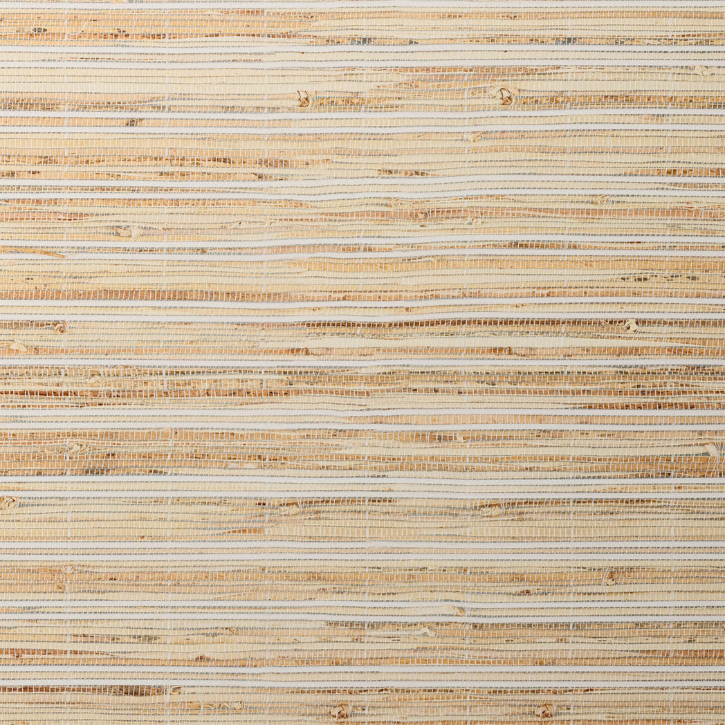 ColorizedSwatch Default Swatch 11662