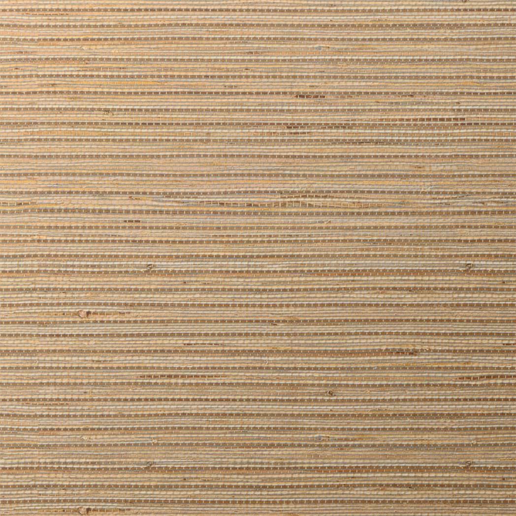 ColorizedSwatch Default Swatch 11300