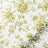 ColorizedSwatch Default Swatch 14592