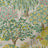 ColorizedSwatch Default Swatch 13065