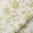 ColorizedSwatch Default Swatch 11564