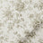 ColorizedSwatch Default Swatch 16004