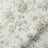 ColorizedSwatch Default Swatch 12933