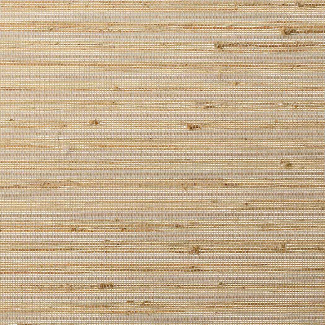ColorizedSwatch Default Swatch 15821