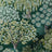 ColorizedSwatch Default Swatch 14987