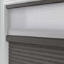 ColorizedZoom  13806