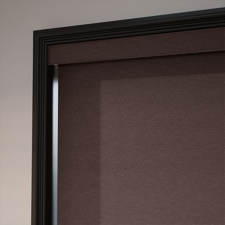 ColorizedZoom  11192