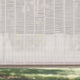 ColorizedZoom  13892