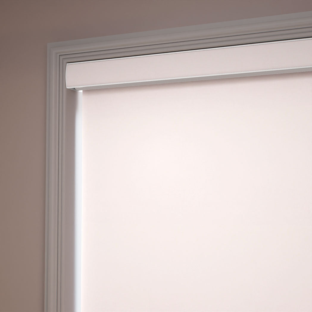 ColorizedZoom  11034