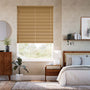ColorizedFullRoom  14631