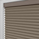ColorizedZoom  12058