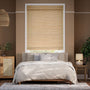 ColorizedFullRoom  14118