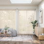 ColorizedFullRoom  11718