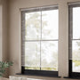 ColorizedZoom  10900