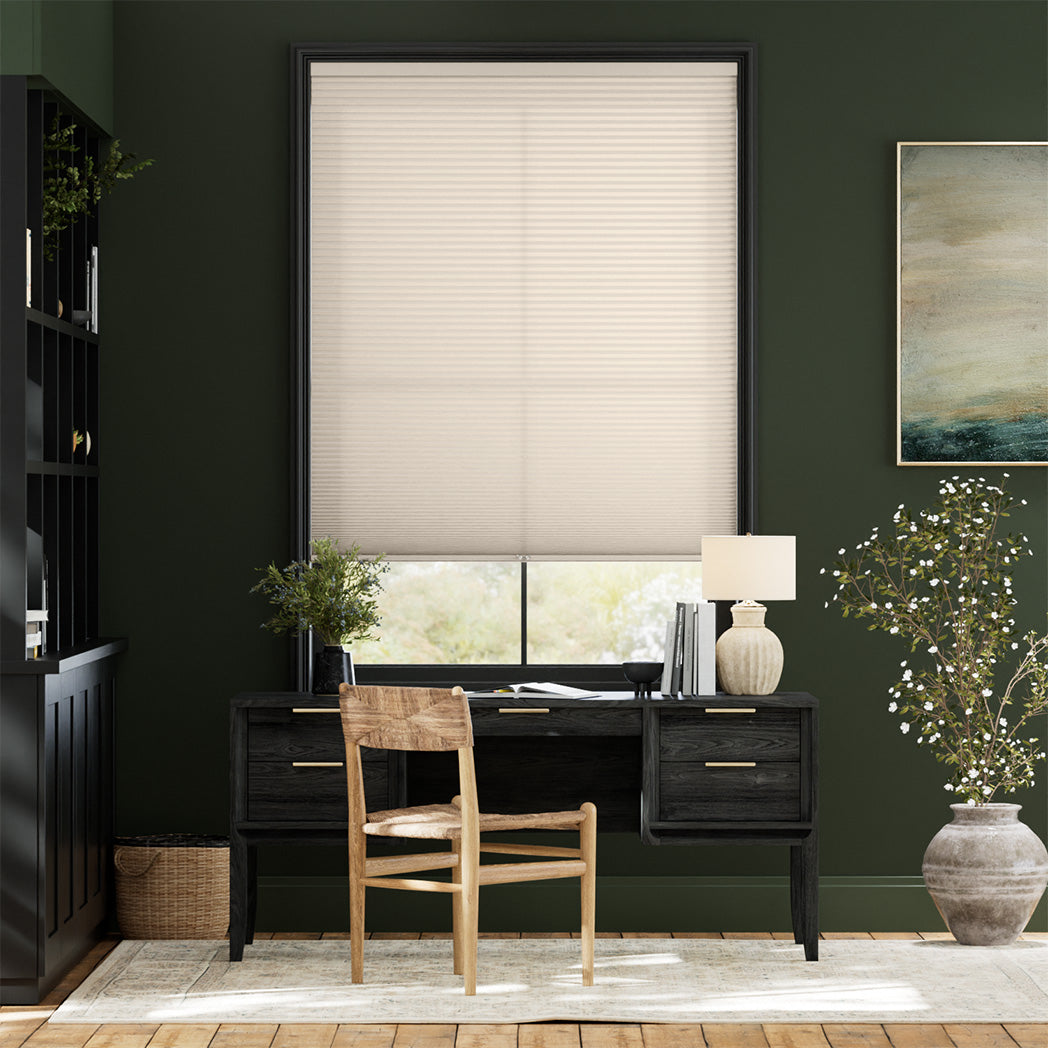 ColorizedFullRoom  13298