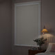 ColorizedZoom  15001