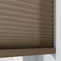 ColorizedZoom  11508