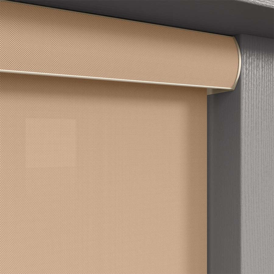 ColorizedZoom  12925