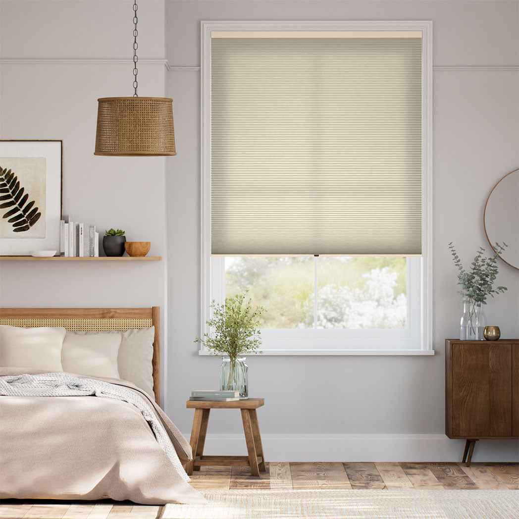 ColorizedFullRoom  11056
