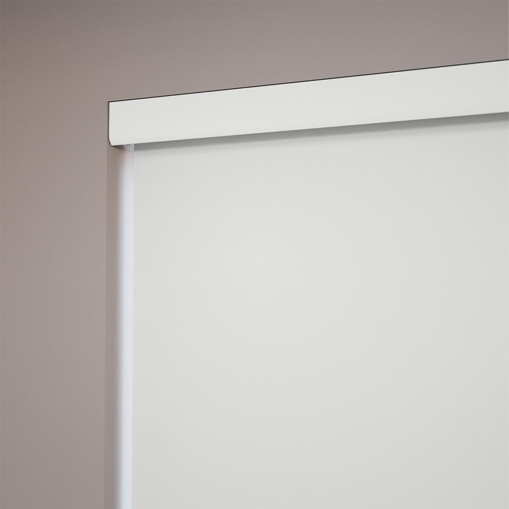 ColorizedZoom  21666