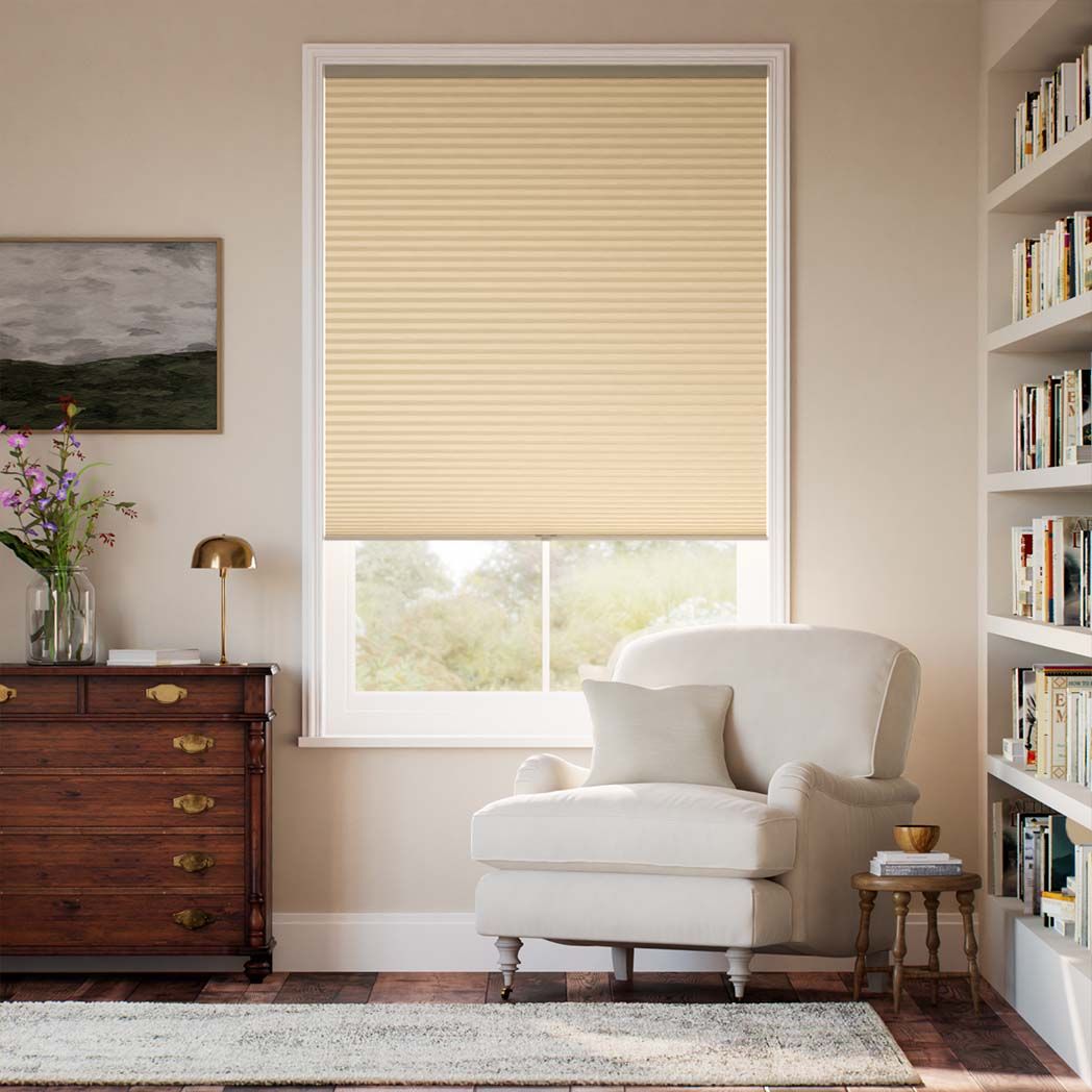 ColorizedFullRoom  22530