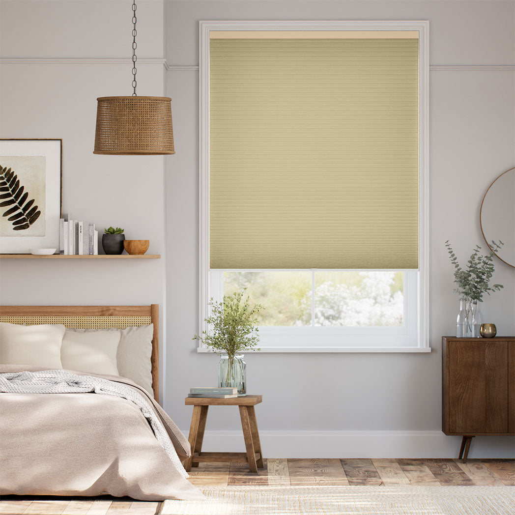 ColorizedFullRoom  22473