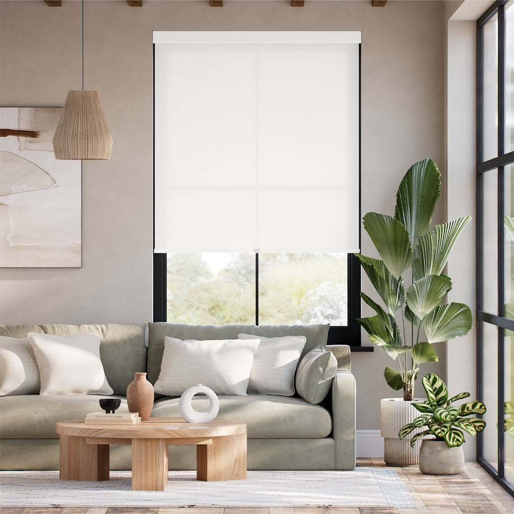 ColorizedFullRoom  21868