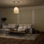 ColorizedRoomAngle  25394