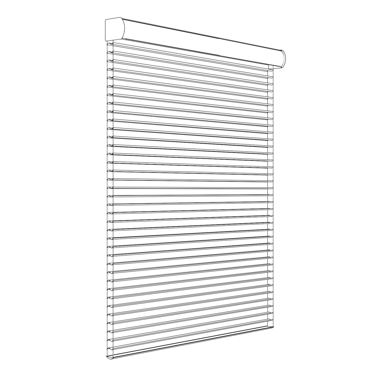 Window with dimension arrows
