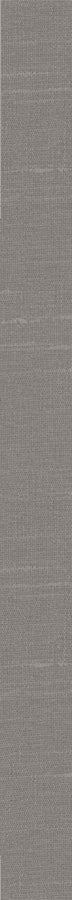 Shimmering Grey