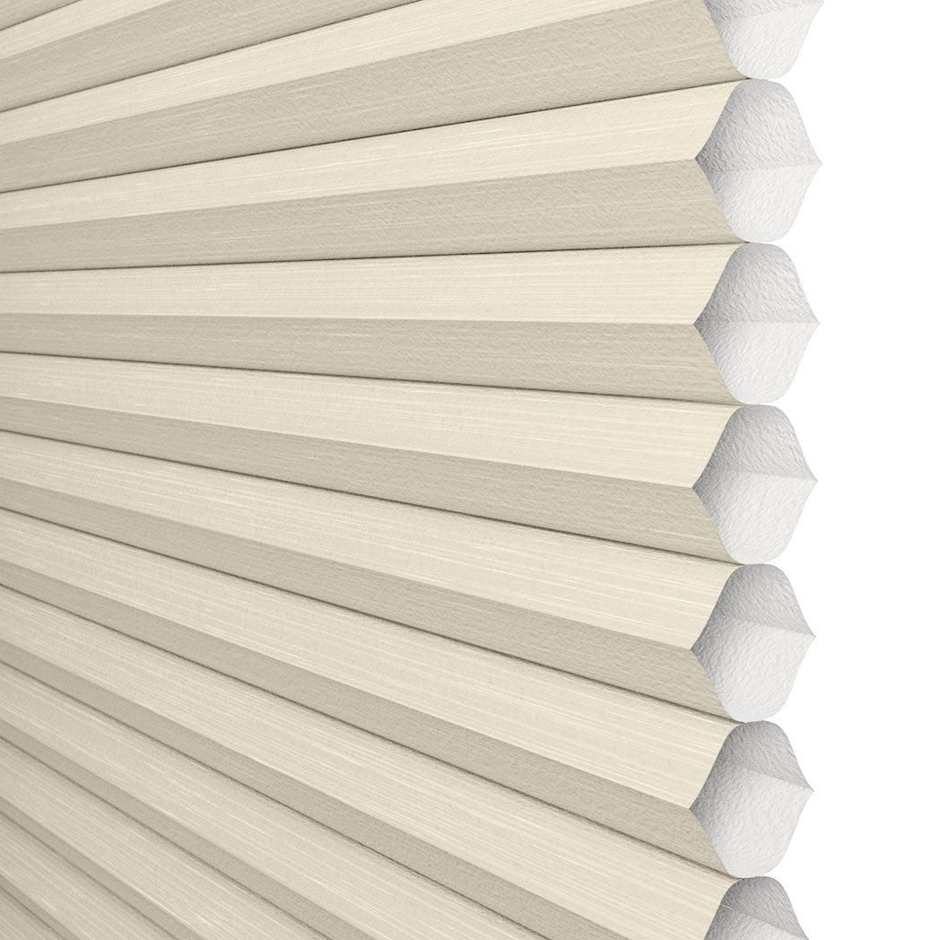 ColorizedSwatch Default Swatch 13556