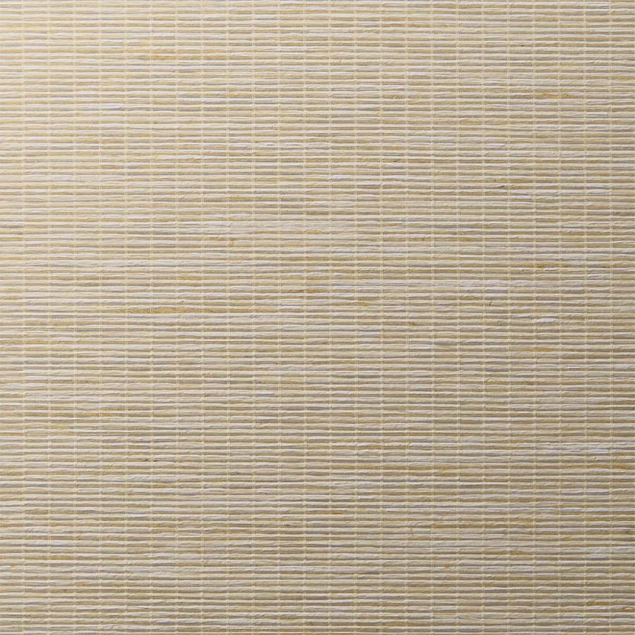 ColorizedSwatch Default Swatch 23715