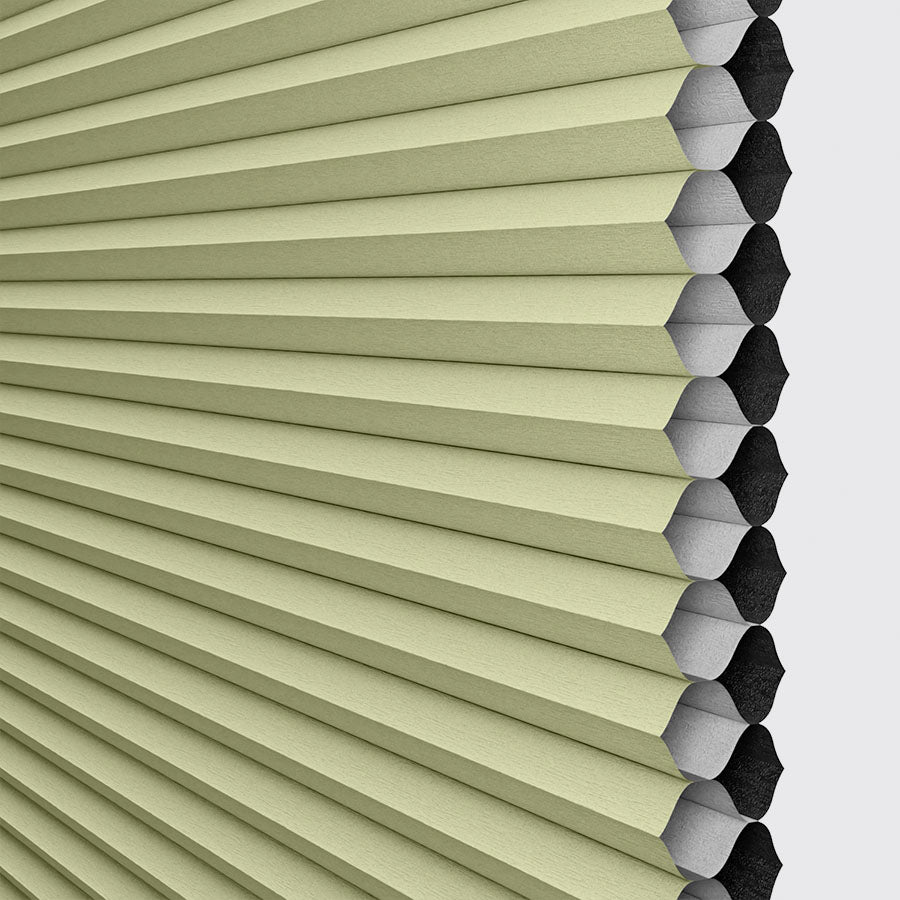 ColorizedSwatch Default Swatch 20201