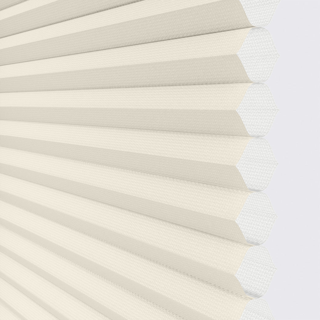 ColorizedSwatch Default Swatch 20124