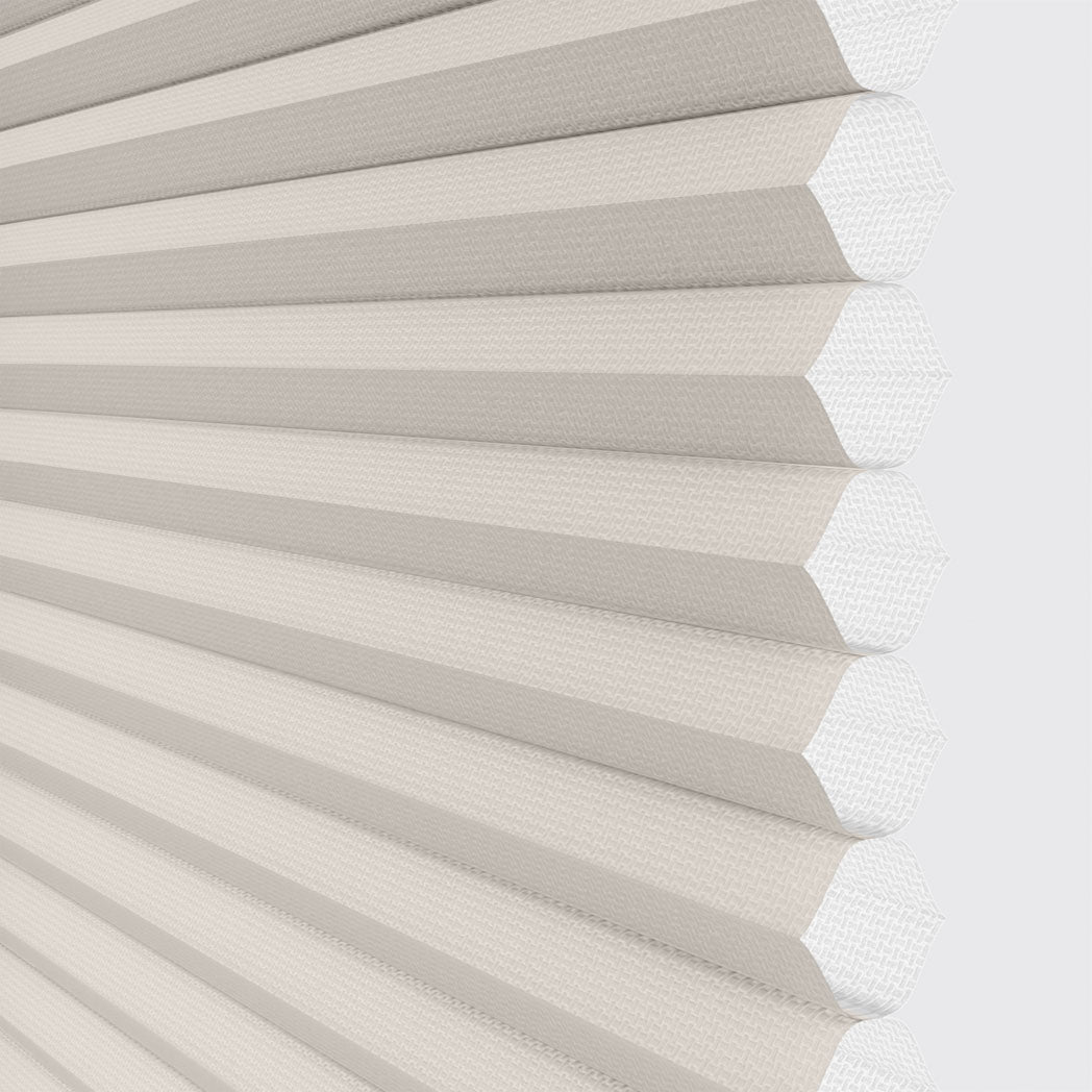 ColorizedSwatch Default Swatch 20155