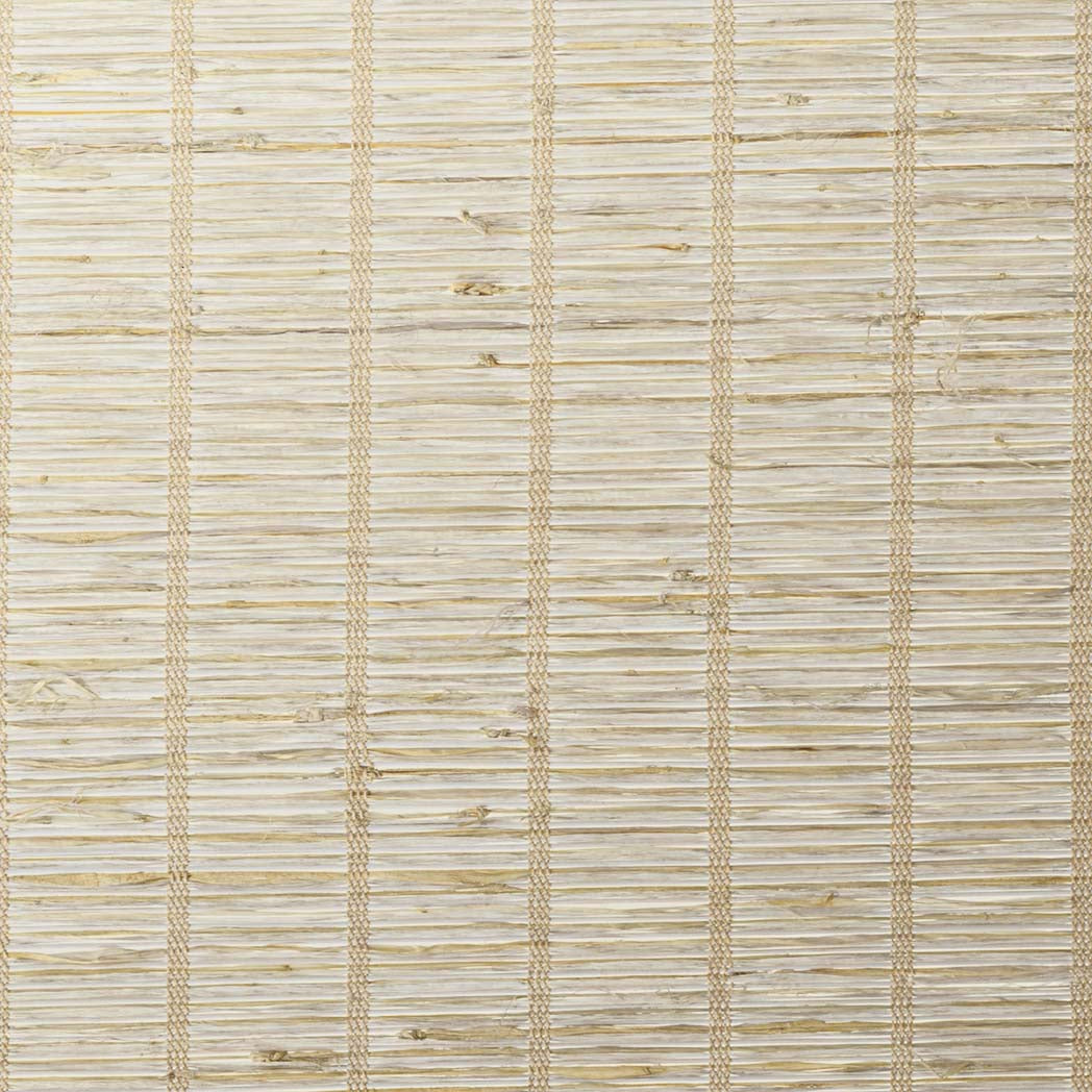 ColorizedSwatch Default Swatch 11604