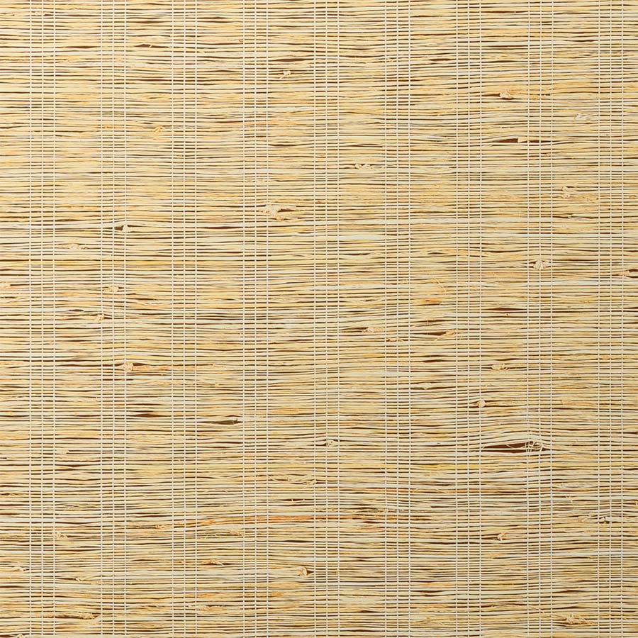 ColorizedSwatch Default Swatch 15461