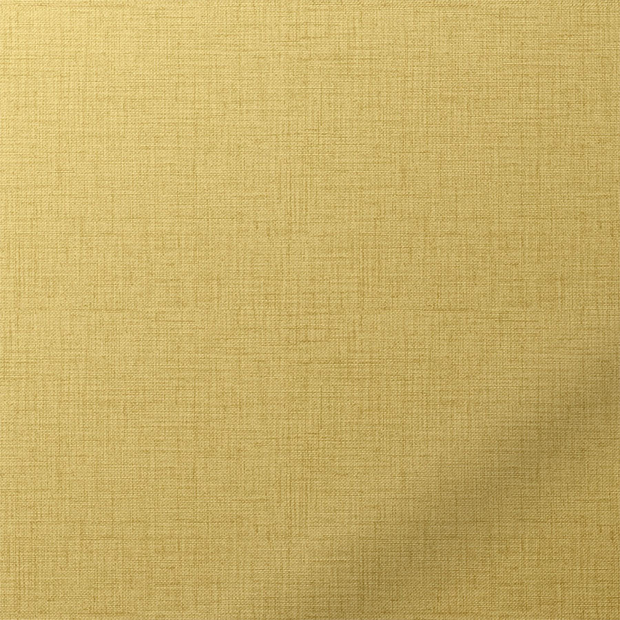ColorizedSwatch Default Swatch 20908