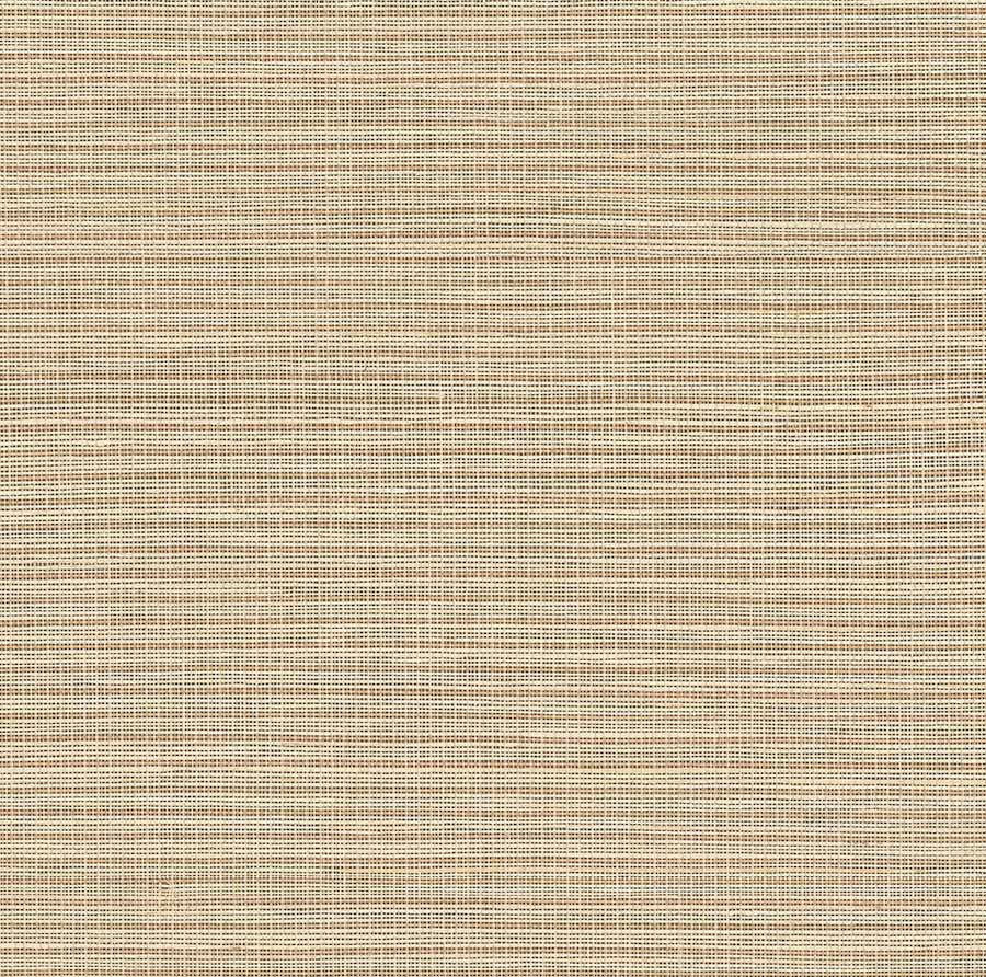 ColorizedSwatch Default Swatch 12353