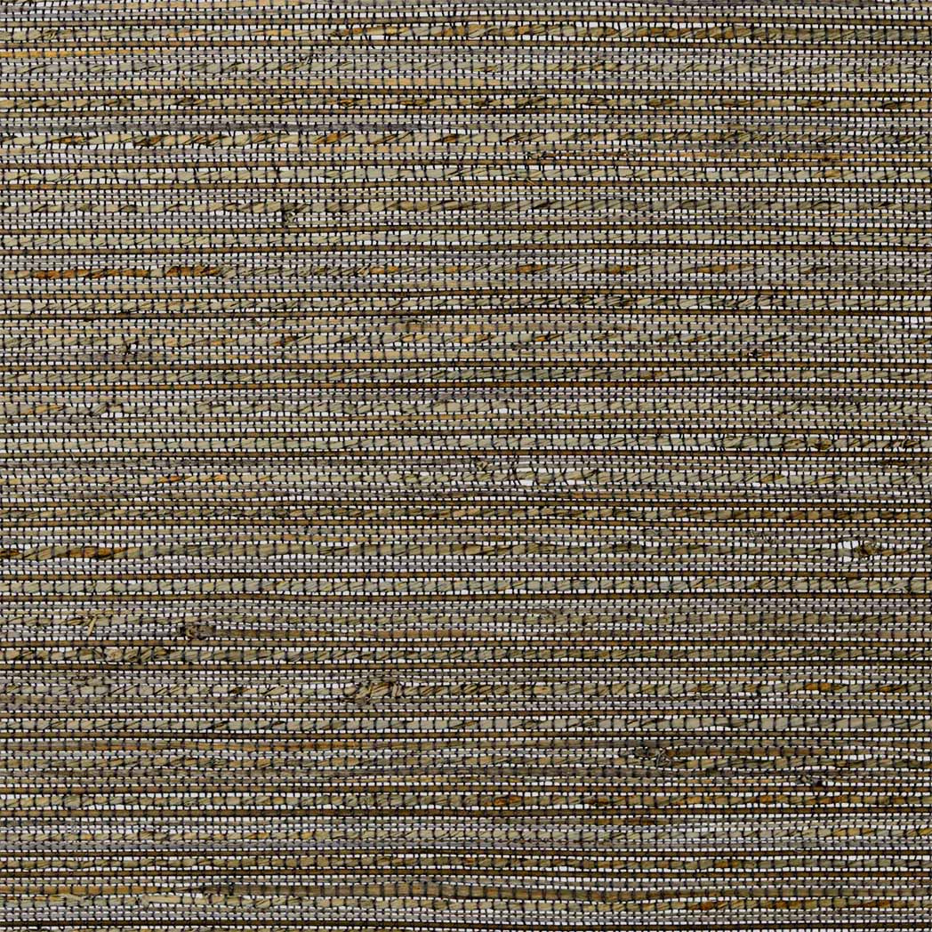 ColorizedSwatch Default Swatch 15644