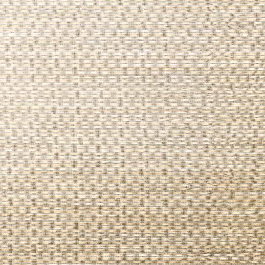 ColorizedSwatch Default Swatch 13818