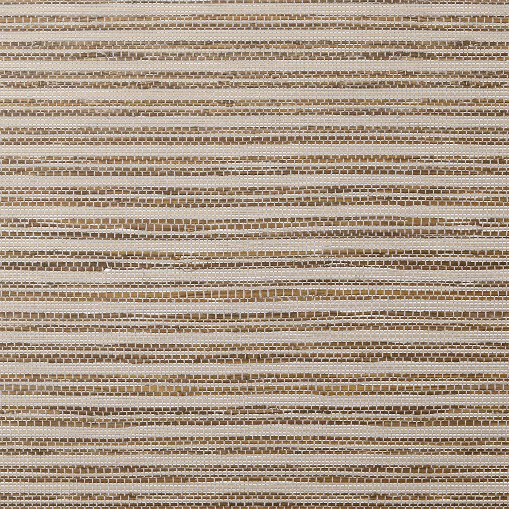 ColorizedSwatch Default Swatch 11113