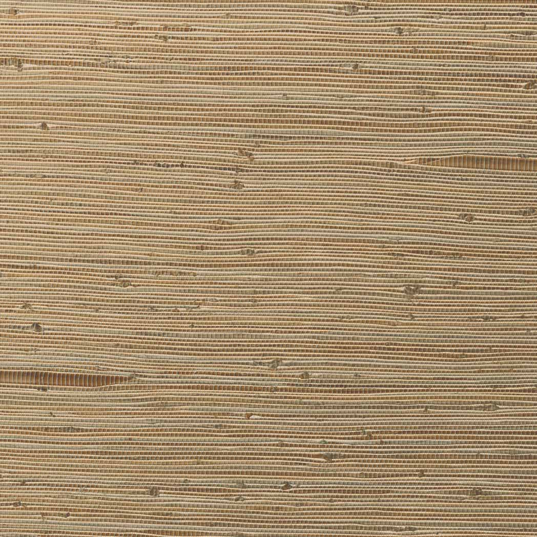 ColorizedSwatch Default Swatch 13461