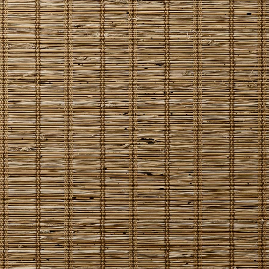 ColorizedSwatch Default Swatch 13117